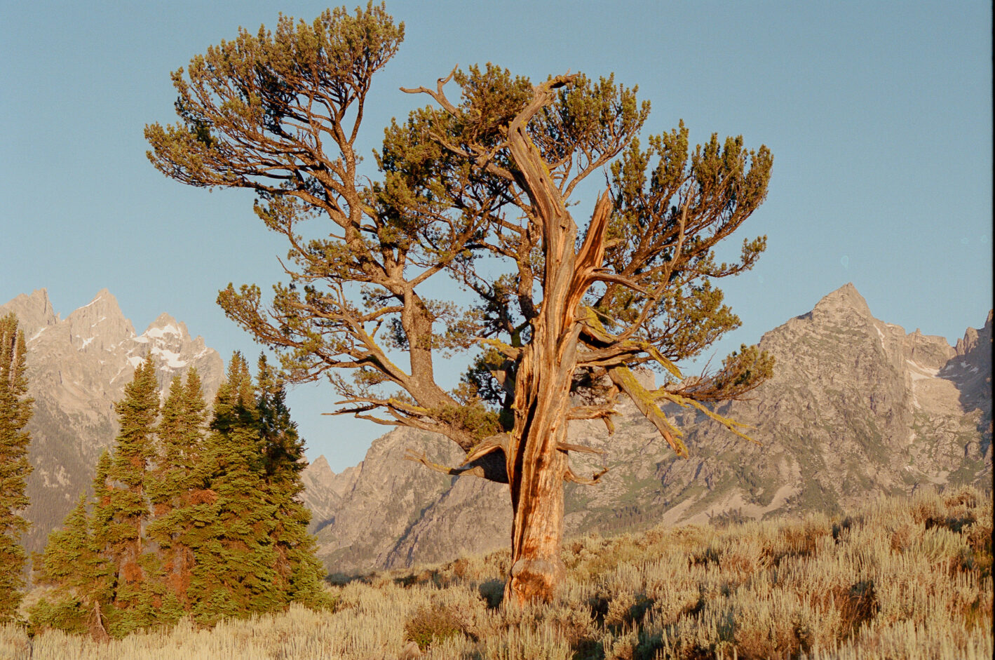 Standing Through Time