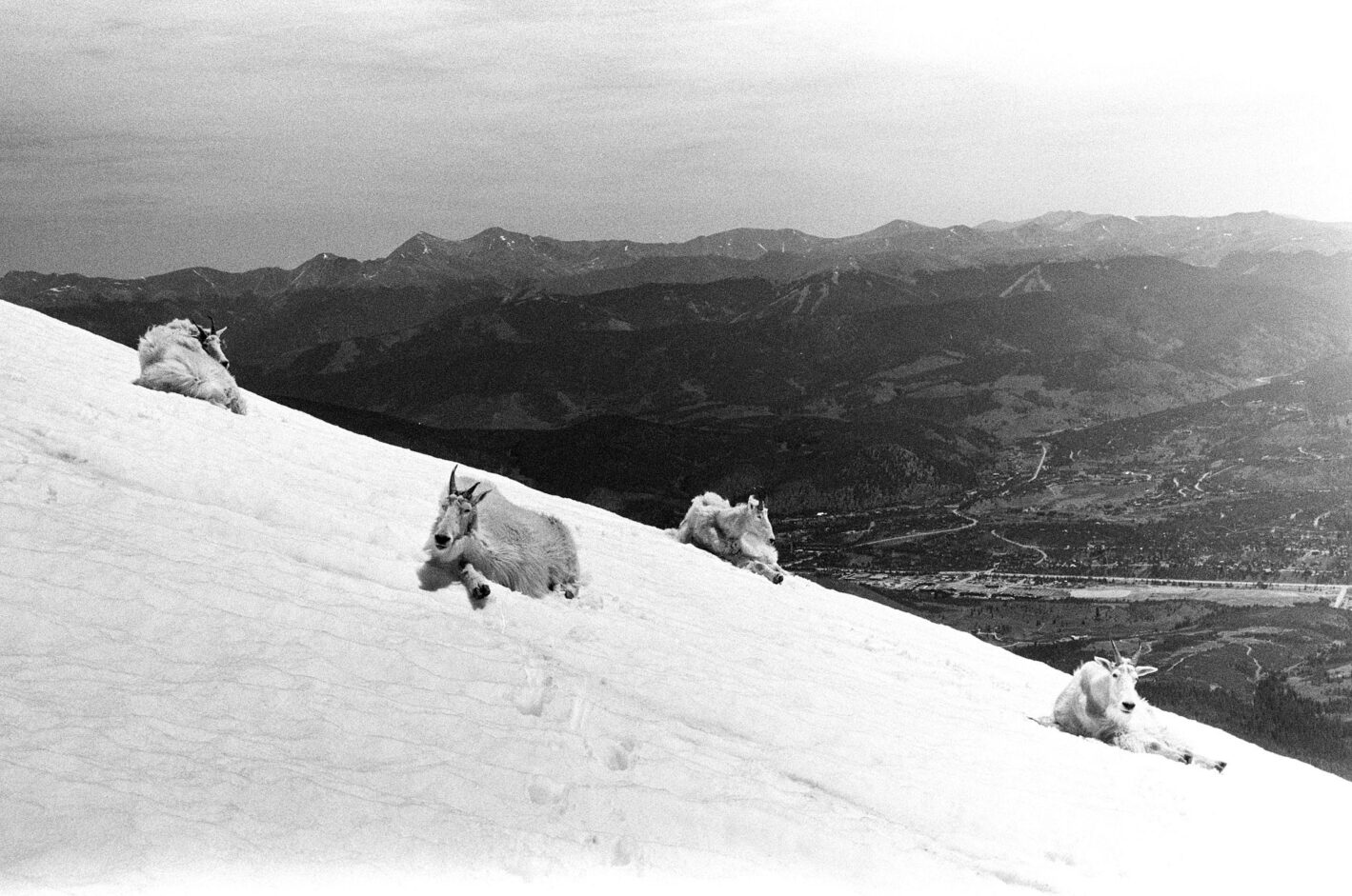 High Country Residents